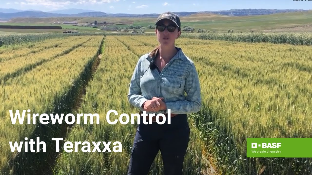 Reddy Anna ID: Exploring Its Features, Benefits, and Role in the Reddy Book Club Community